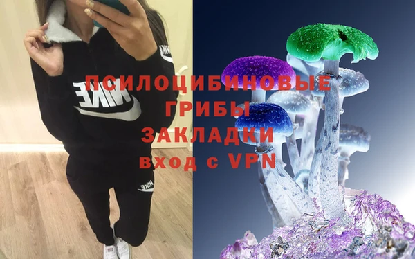 не бодяженный Магадан