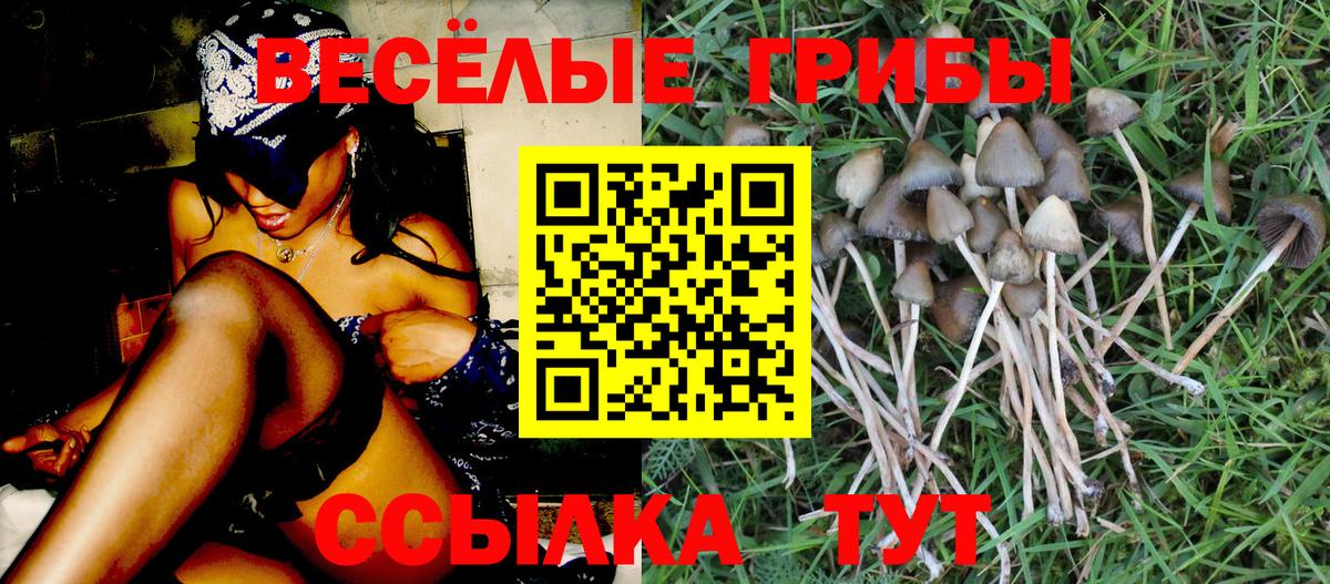 Псилоцибиновые грибы MAGIC MUSHROOMS  Вход с VPN  Новый Уренгой 