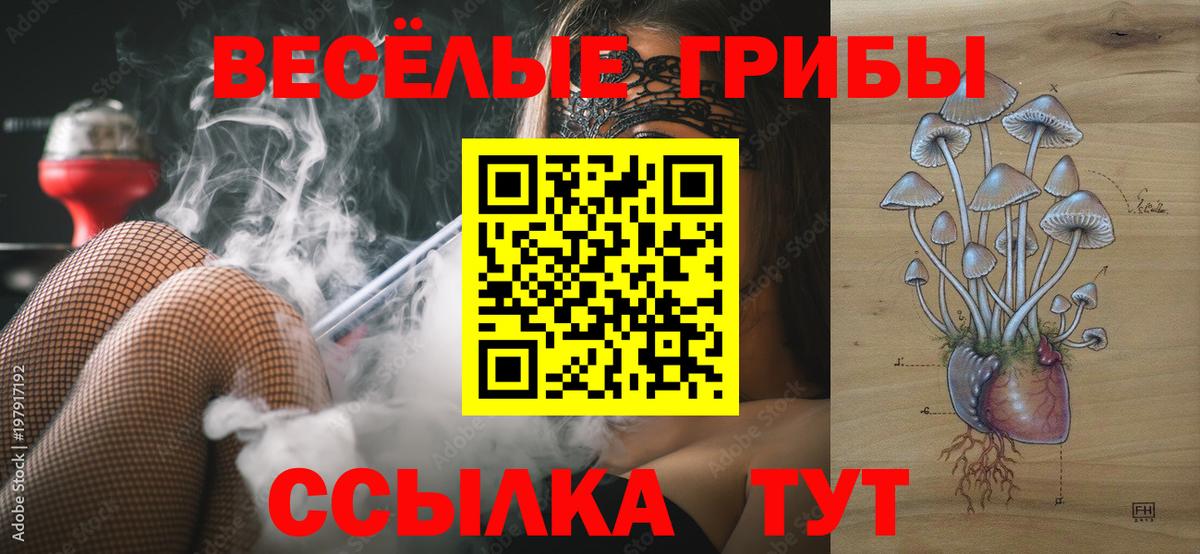 Псилоцибиновые грибы Psilocybine cubensis Новый Уренгой